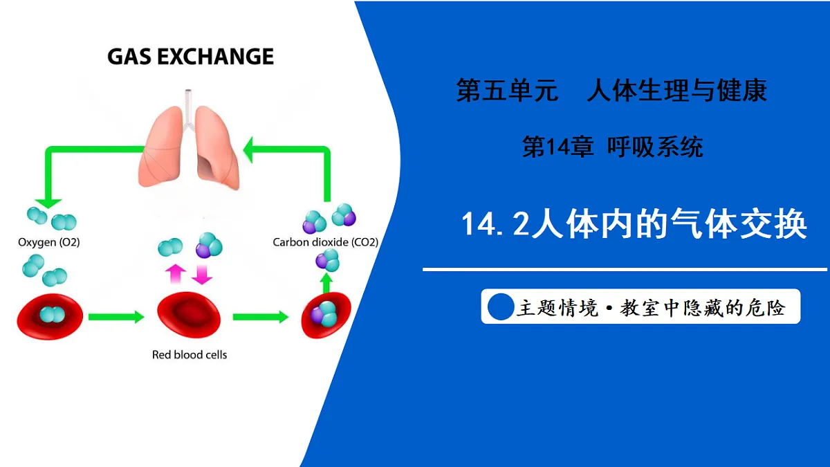 17580844第1页