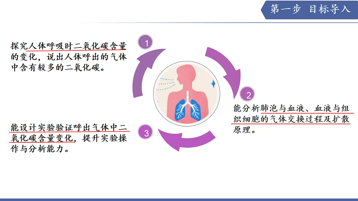 17580844第3页