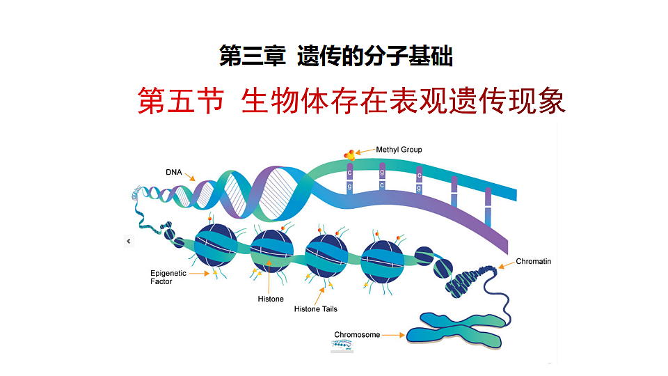17581329第1页