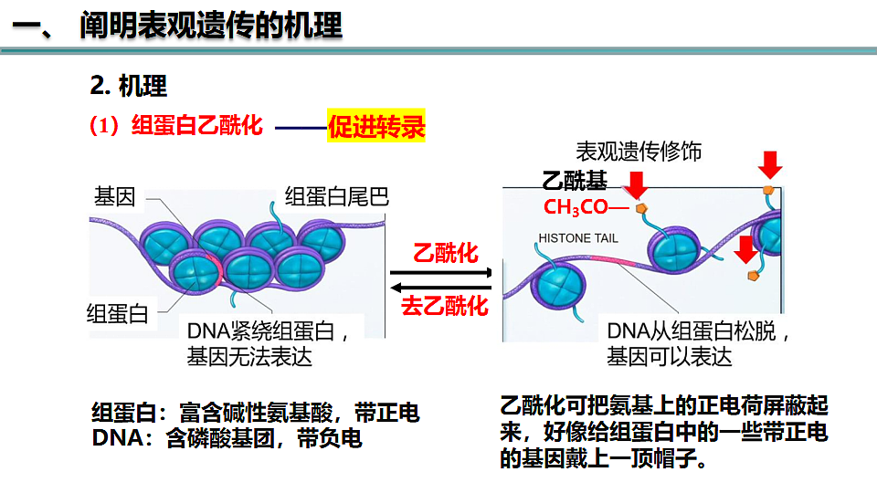 17581329第5页