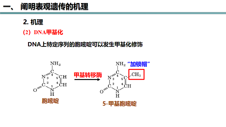 17581329第6页