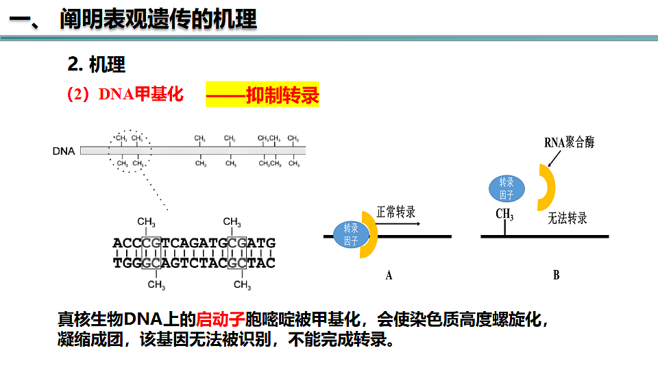 17581329第7页