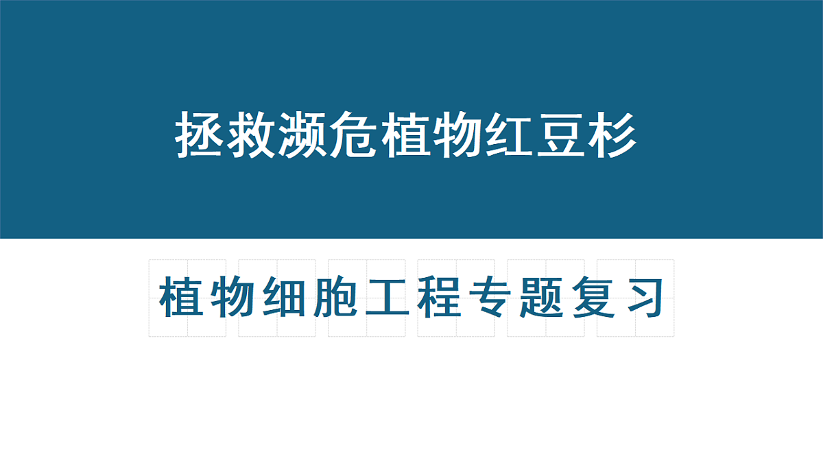 17581340第1页