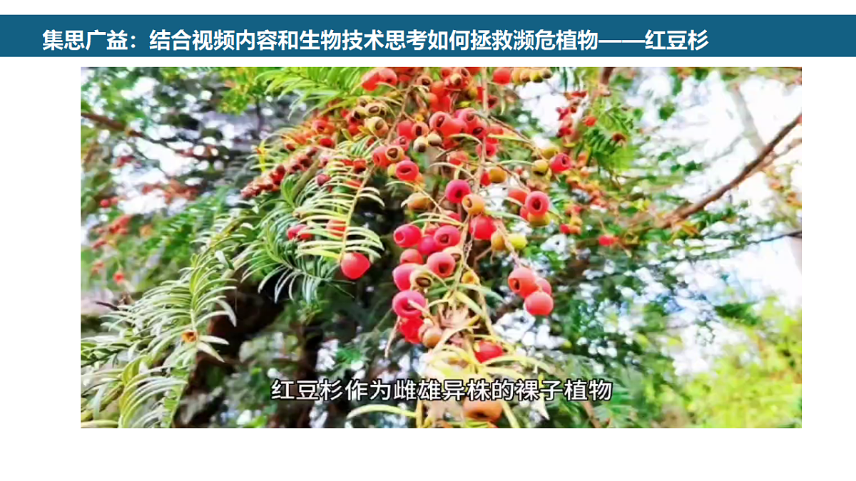 17581340第3页
