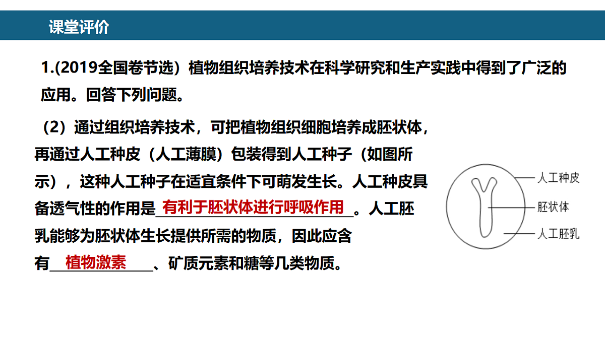 17581340第7页