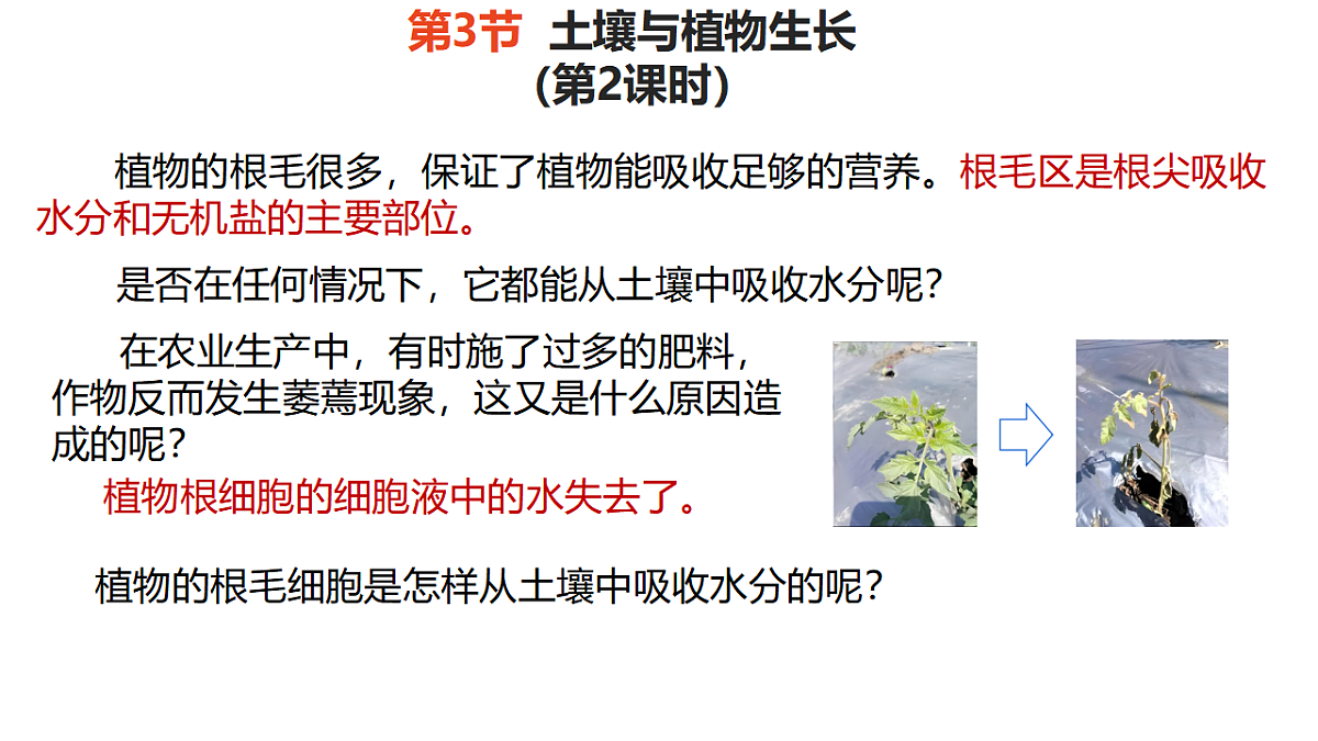 17581535第1页