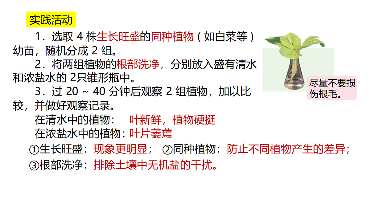 17581535第2页