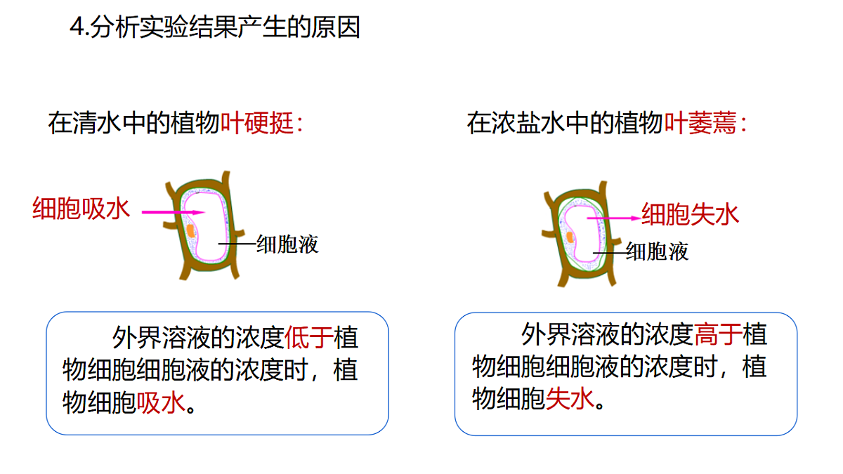 17581535第3页