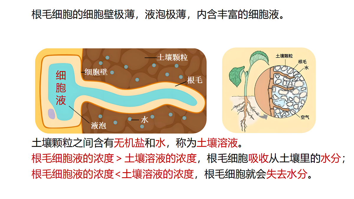 17581535第4页