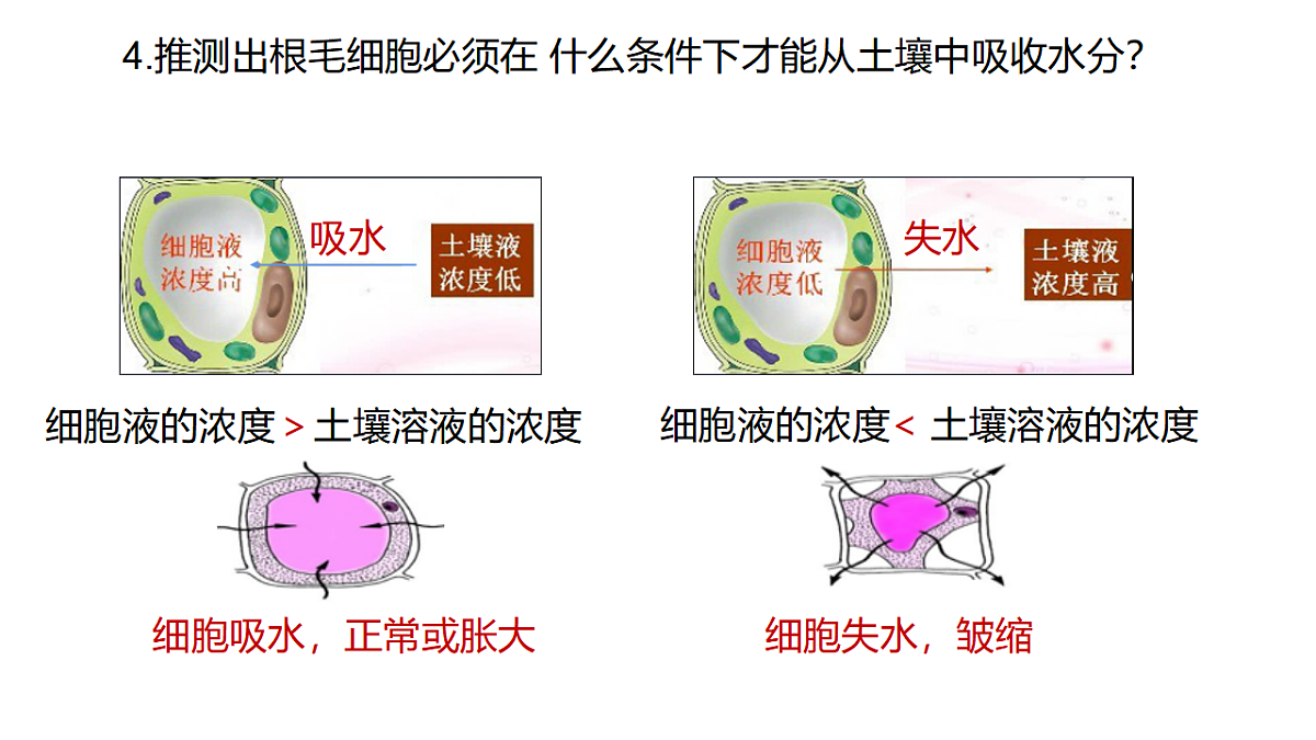 17581535第5页