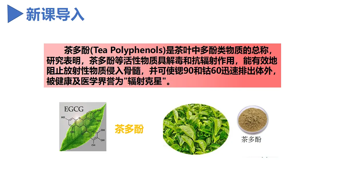 17582937第1页