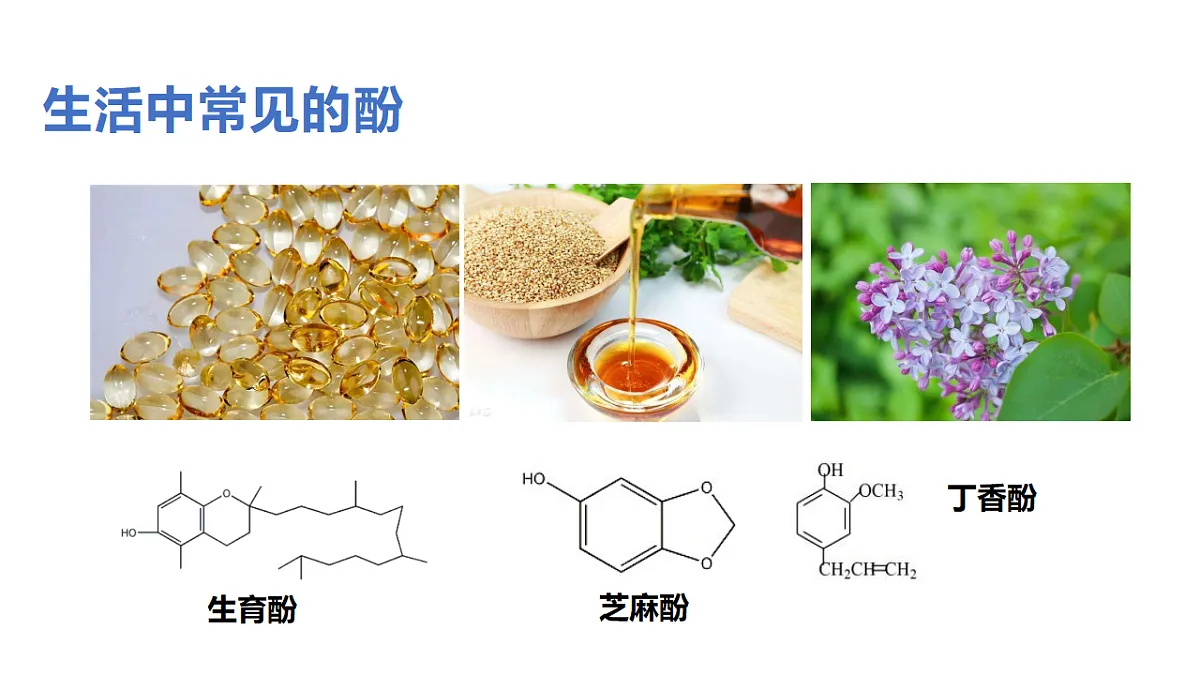 17582937第3页