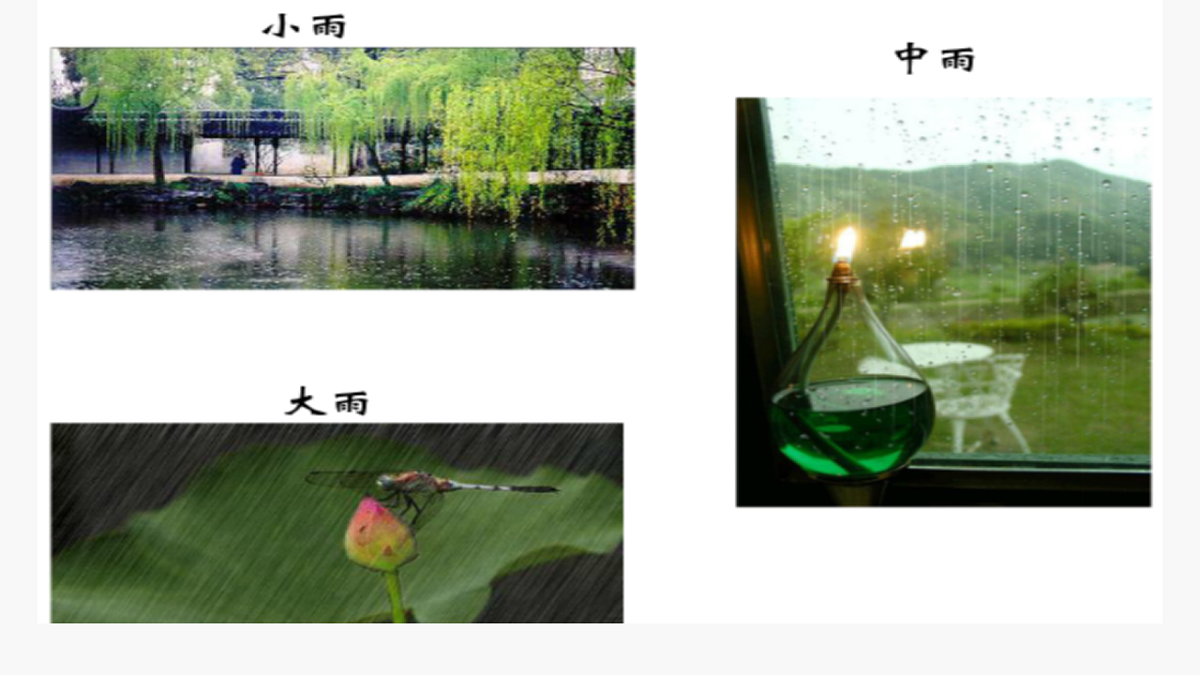 17584631第4页