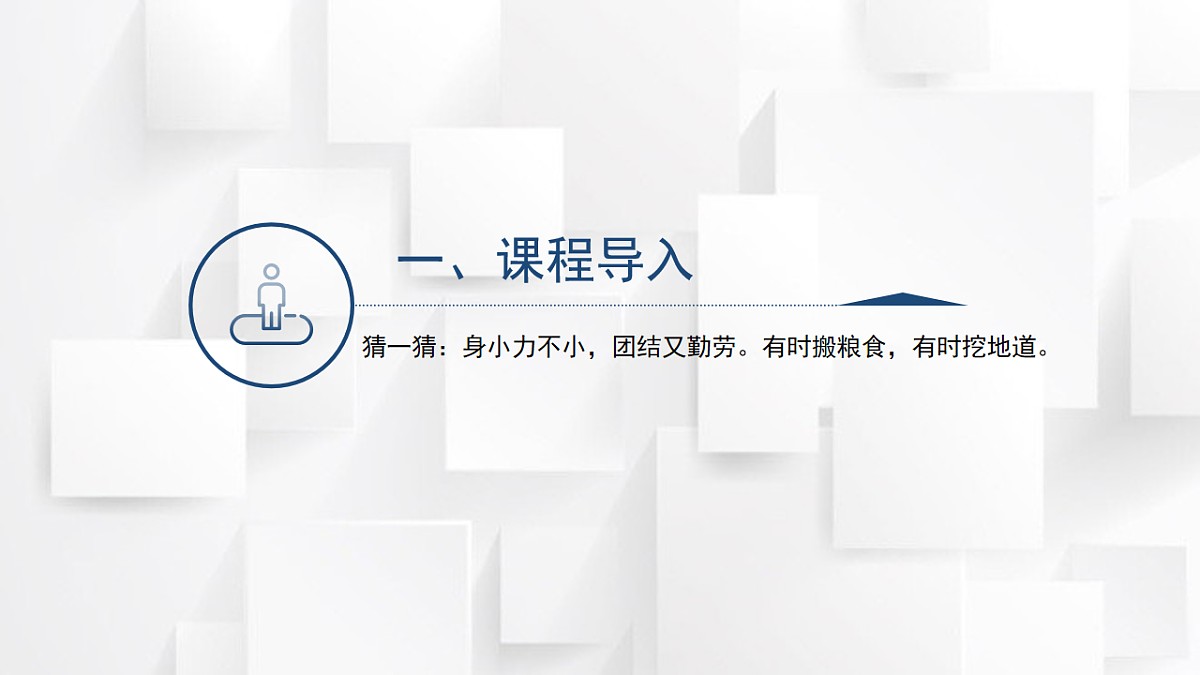 17584649第3页