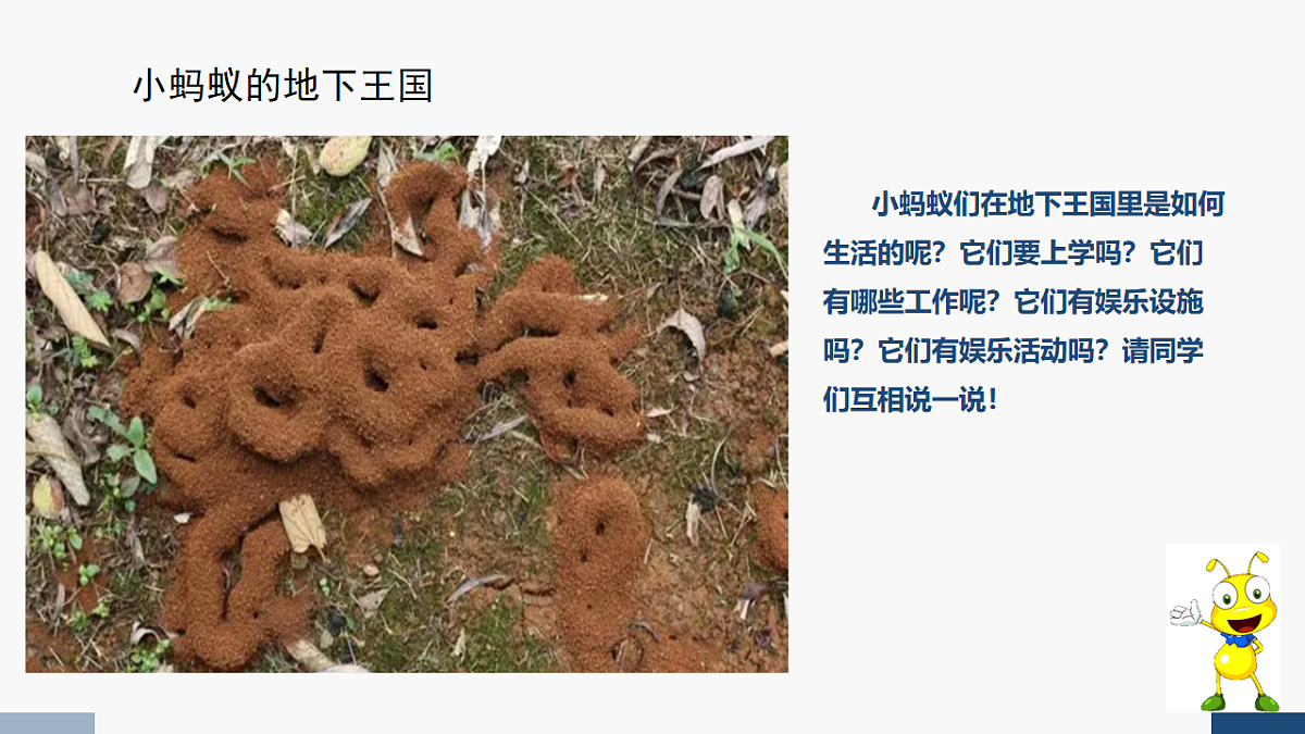 17584649第5页