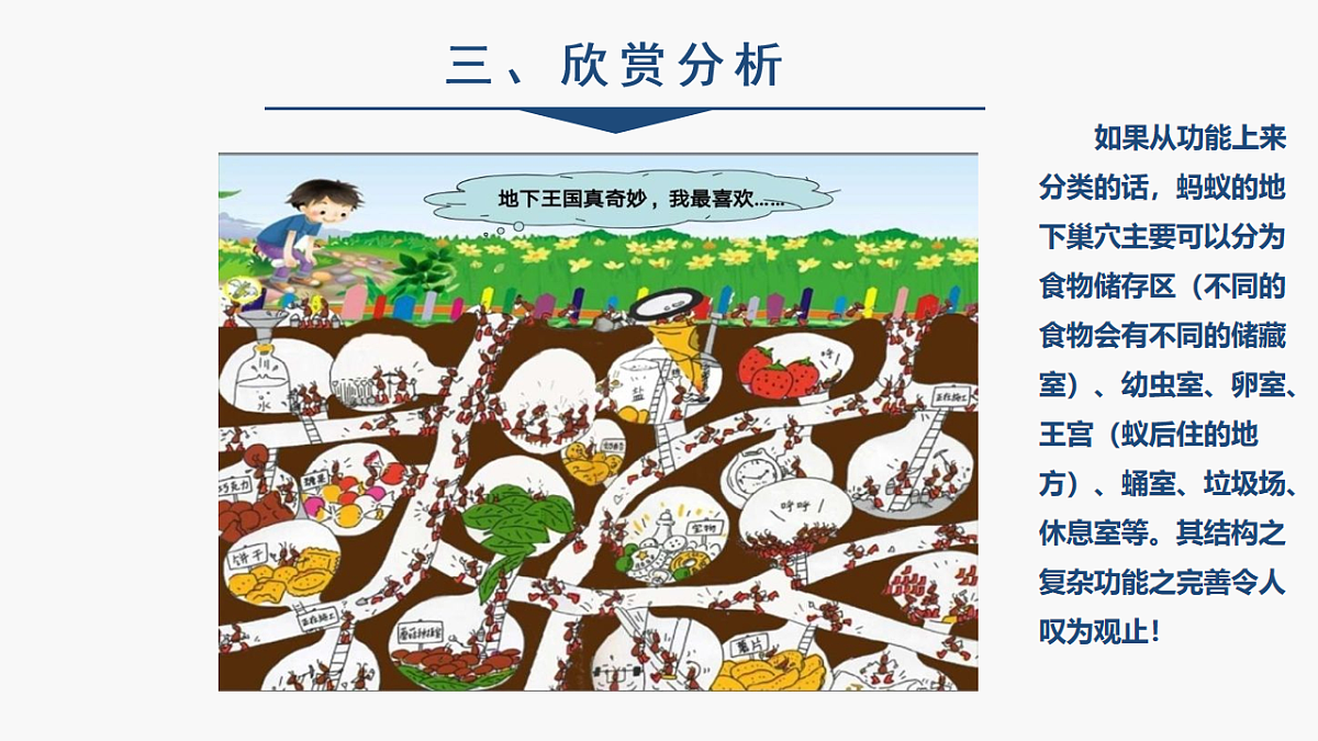 17584649第6页