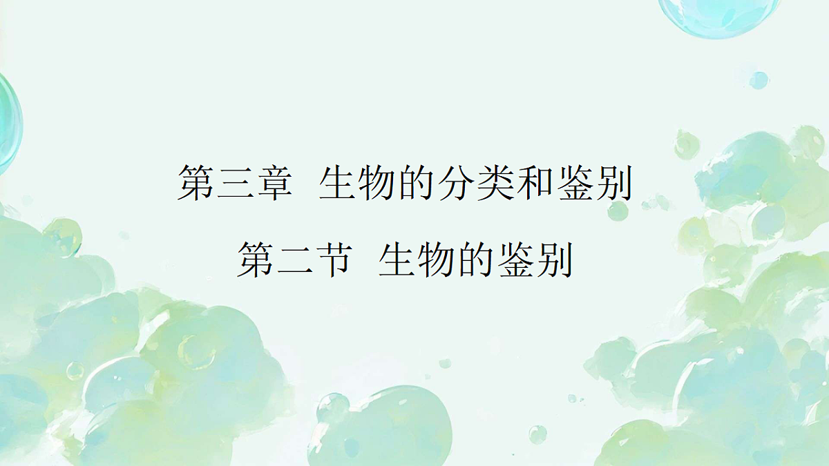 17584836第1页