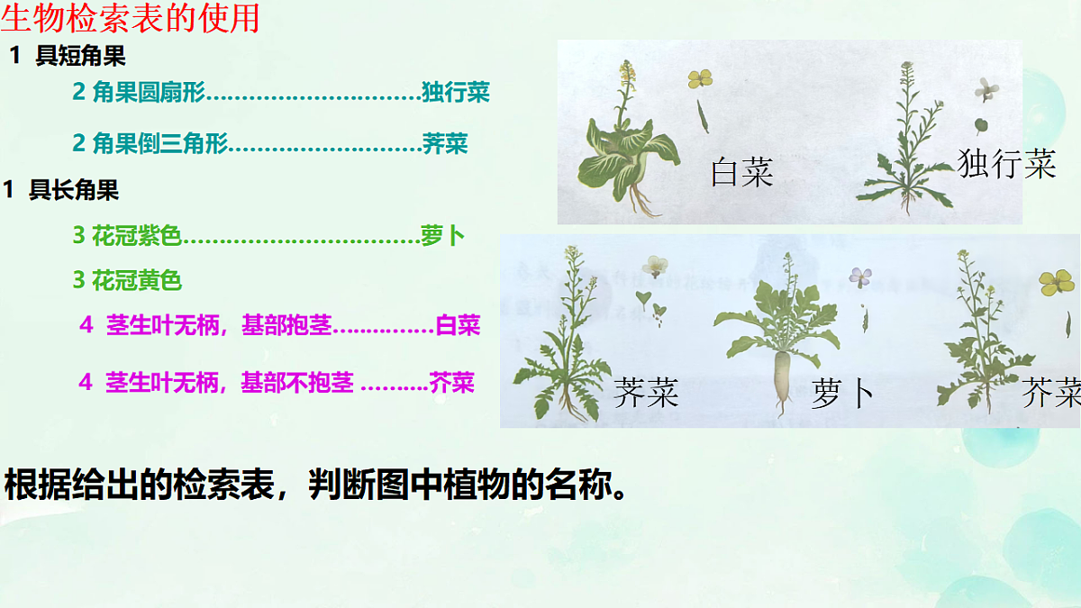 17584836第6页