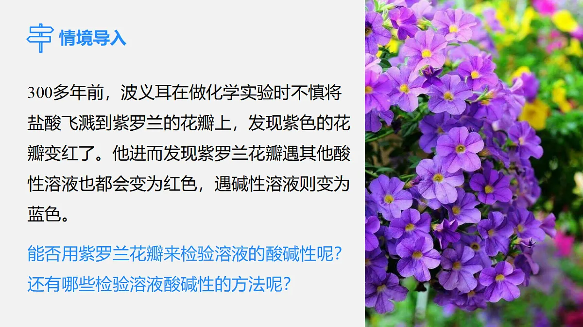 17586126第3页