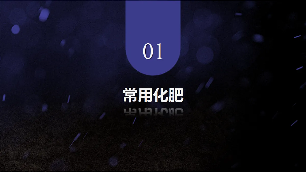 17586128第4页