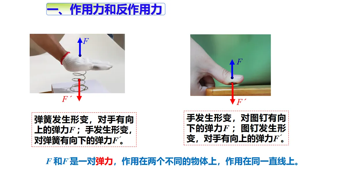 17587121第3页
