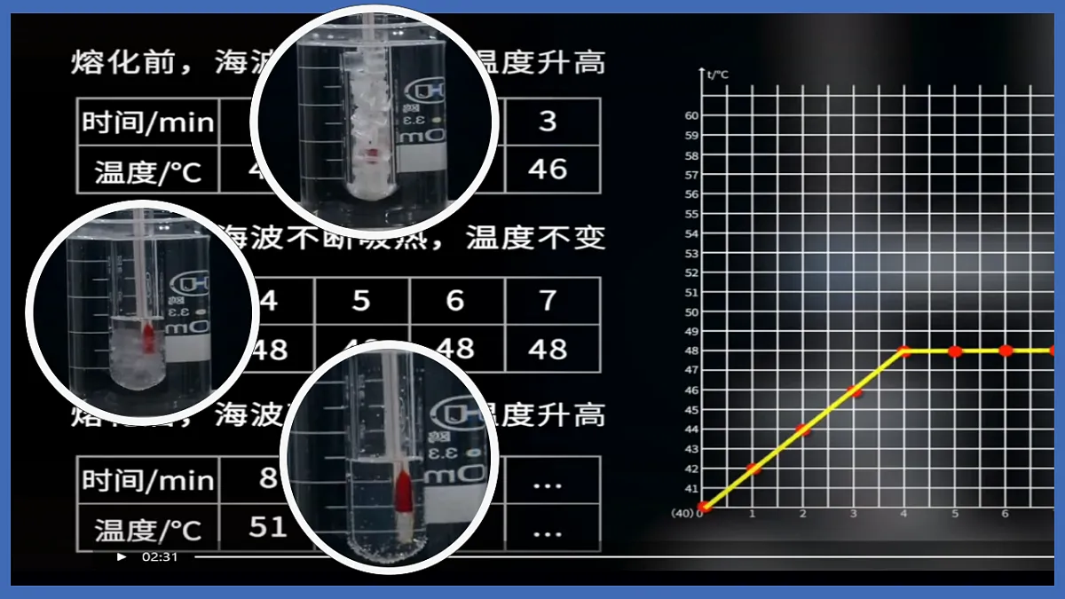 17587496第7页
