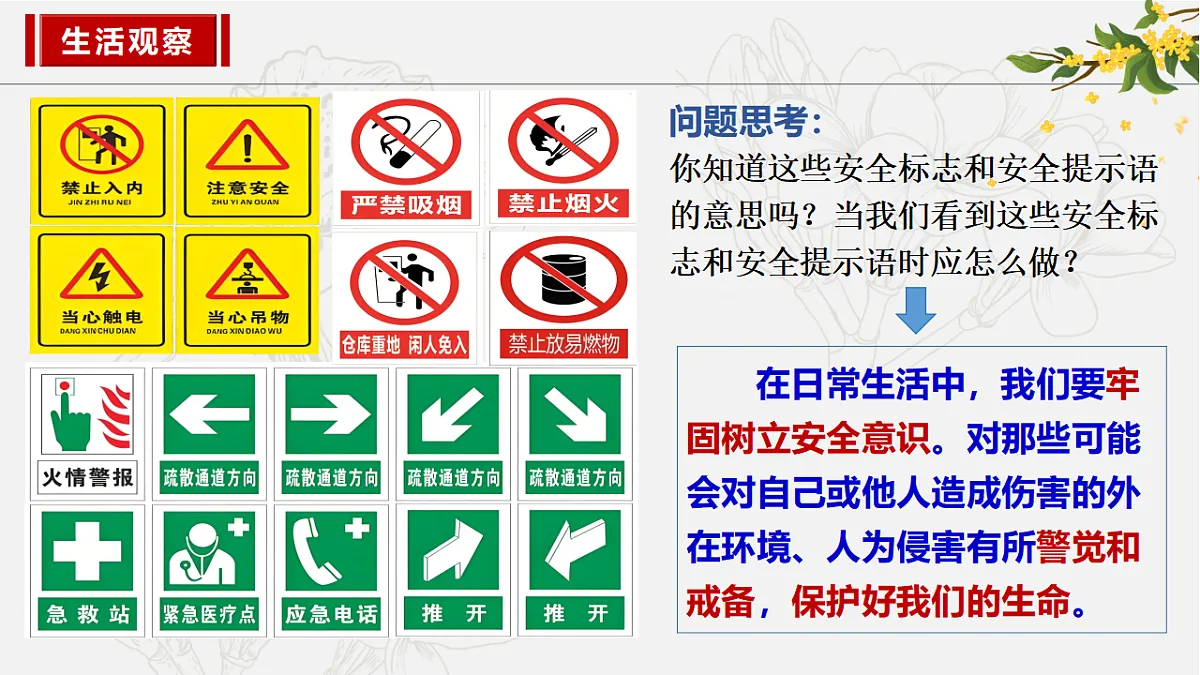 17592413第8页