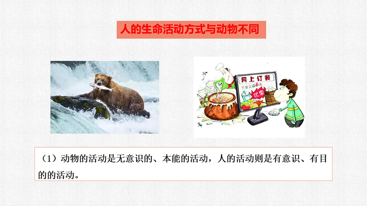 17592425第7页