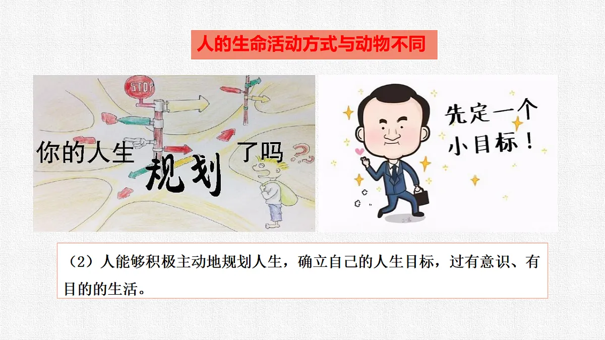 17592425第8页