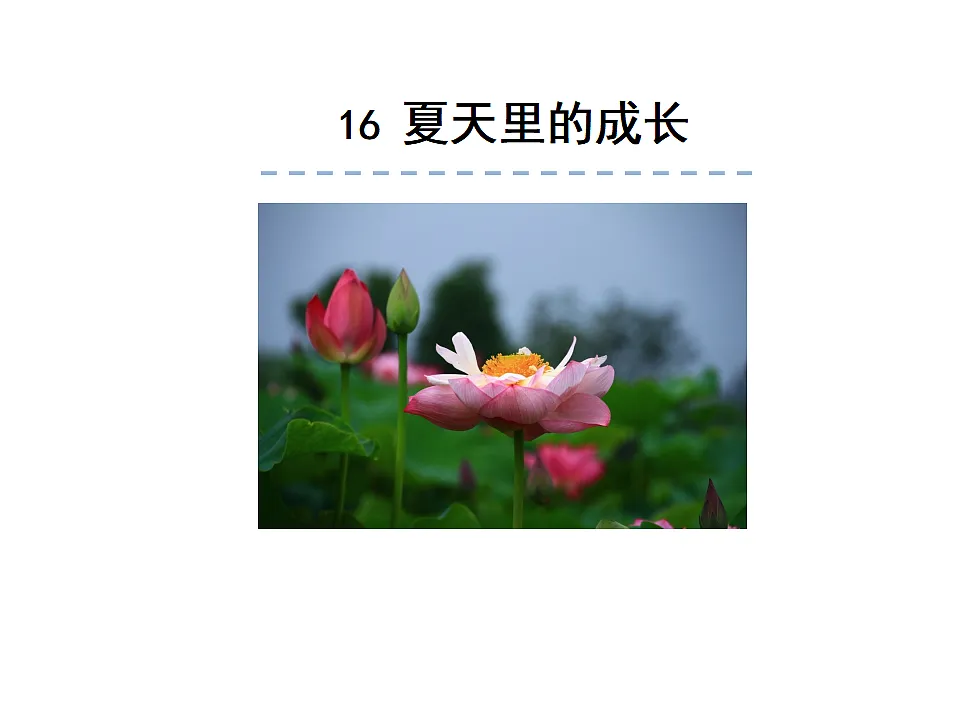 17592896第1页