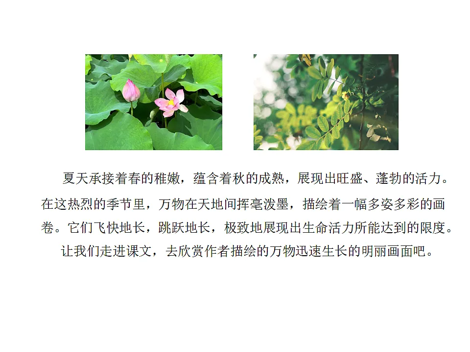 17592896第2页