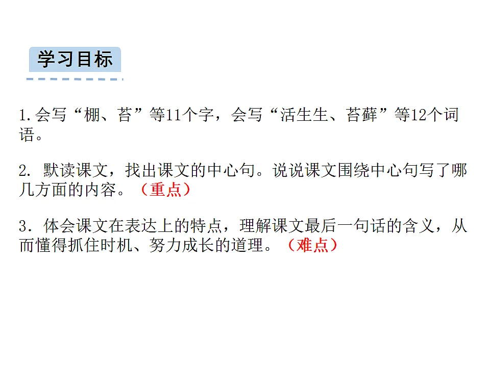 17592896第4页