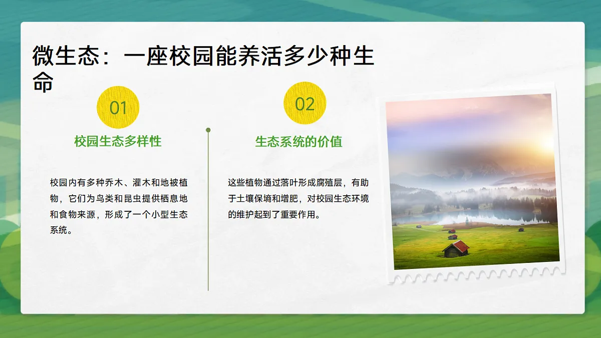 17593474第7页