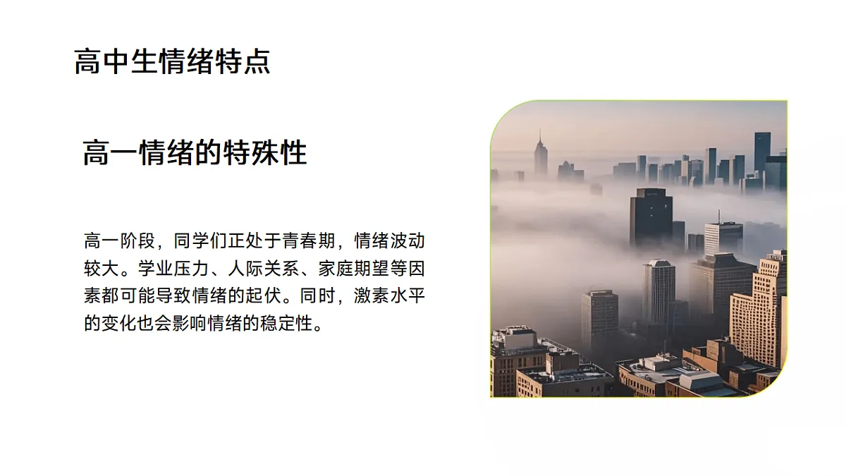 17593484第5页