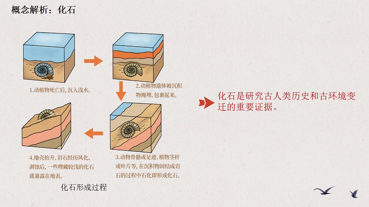 17594005第2页