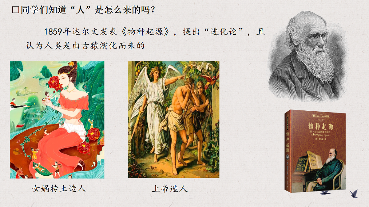17594005第4页