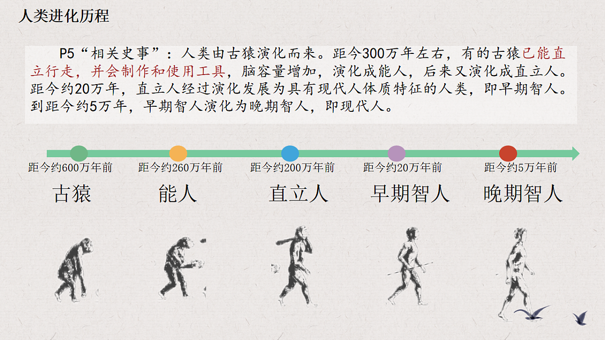 17594005第5页