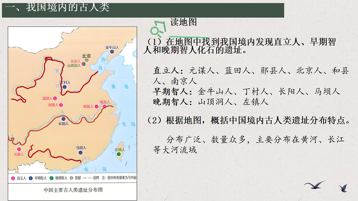 17594005第6页
