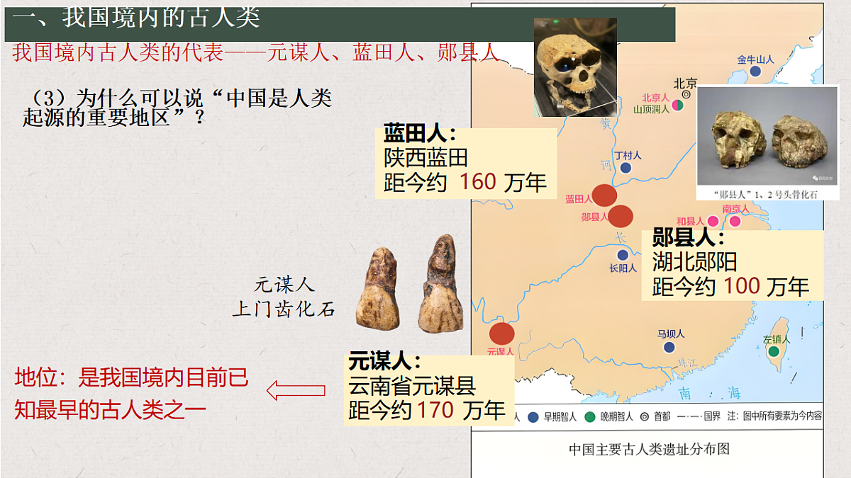 17594005第7页