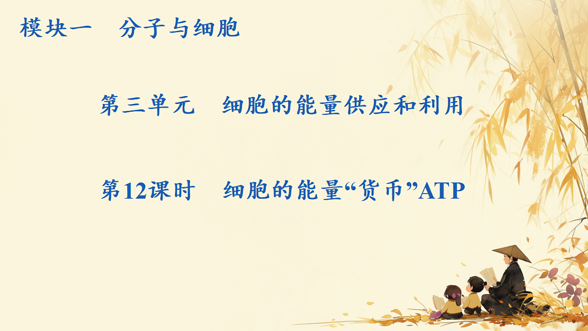 17596049第1页