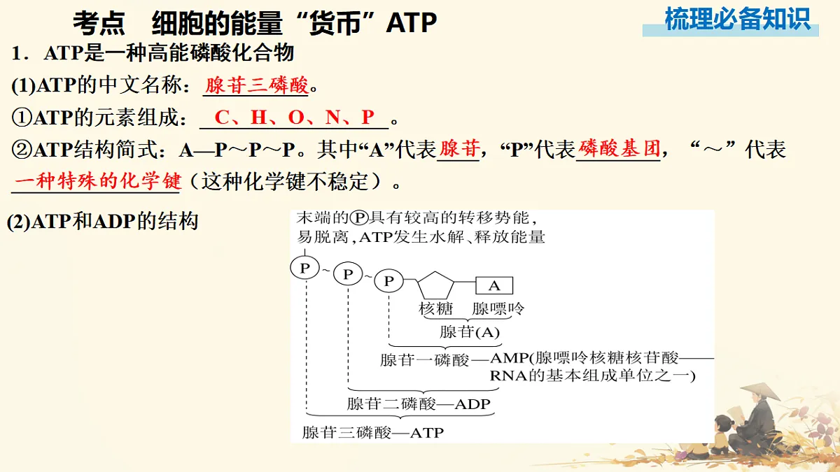 17596049第3页