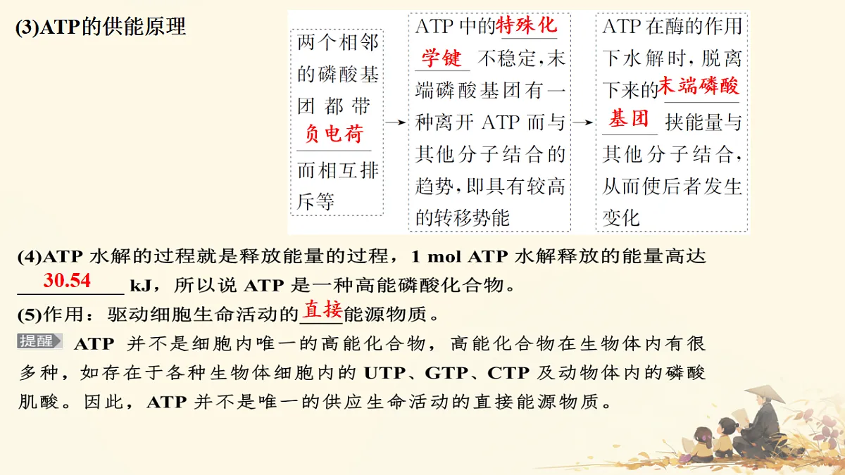 17596049第4页