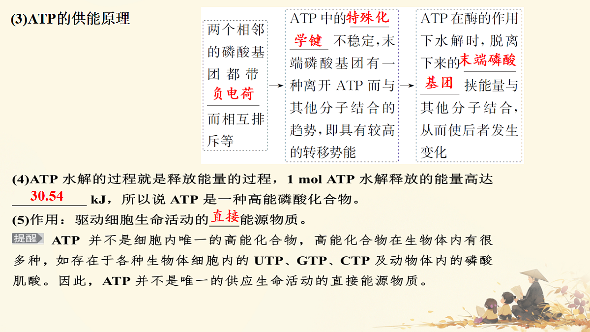 17596049第4页