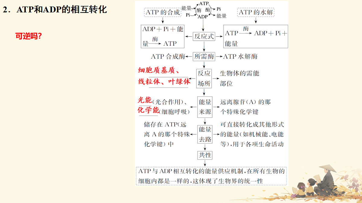 17596049第5页