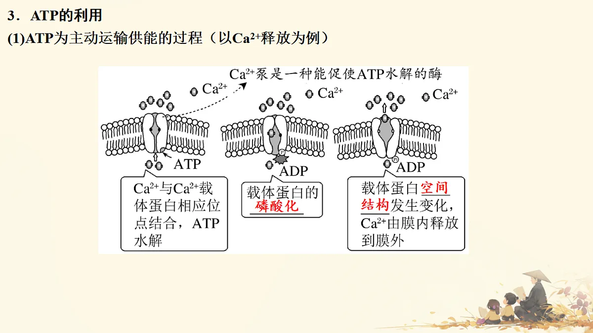 17596049第6页