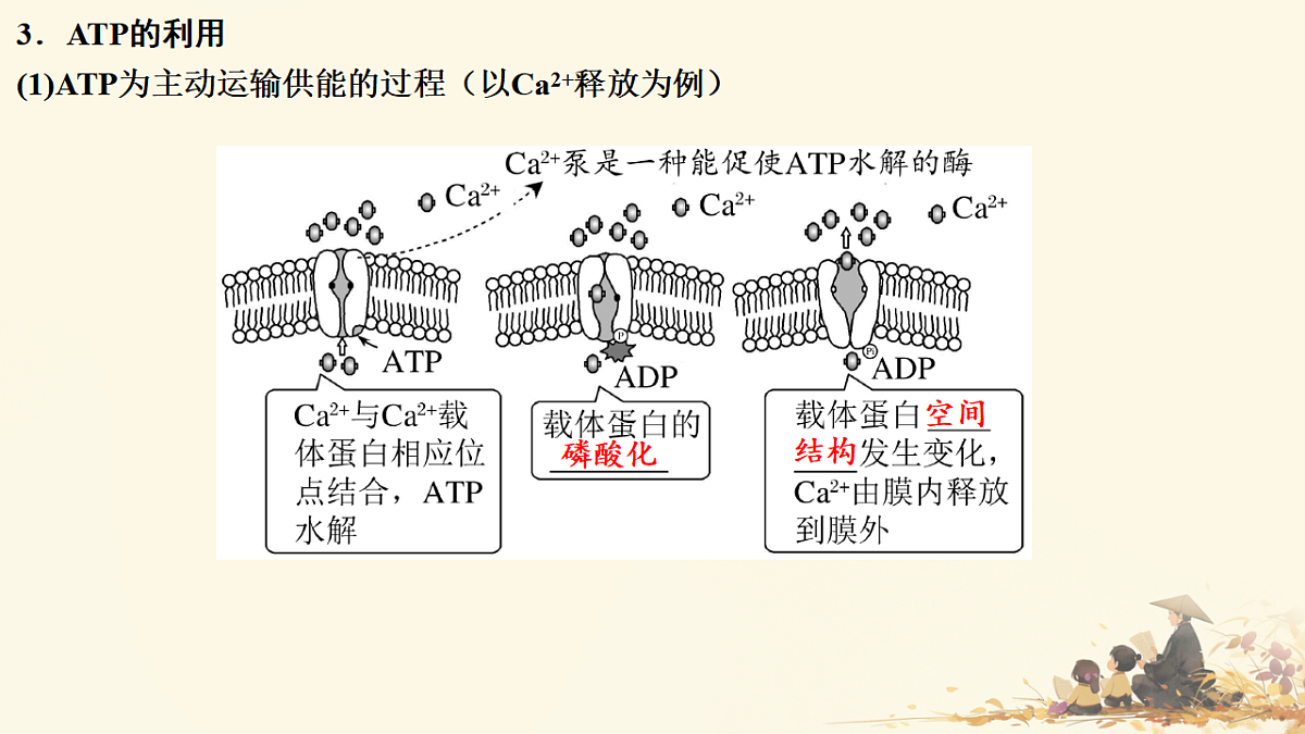 17596049第6页