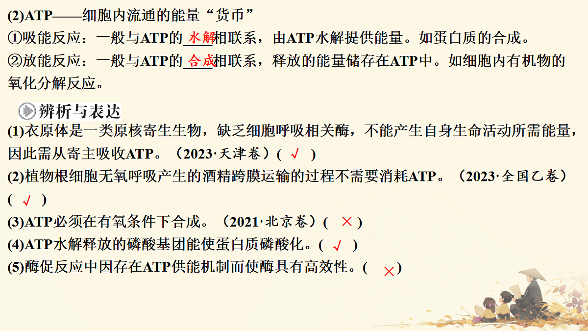 17596049第7页