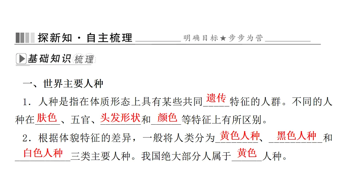 17596077第2页