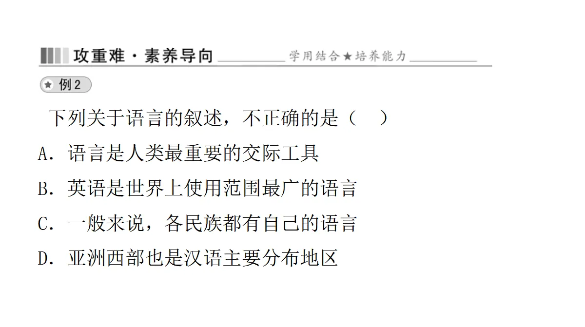 17596077第8页
