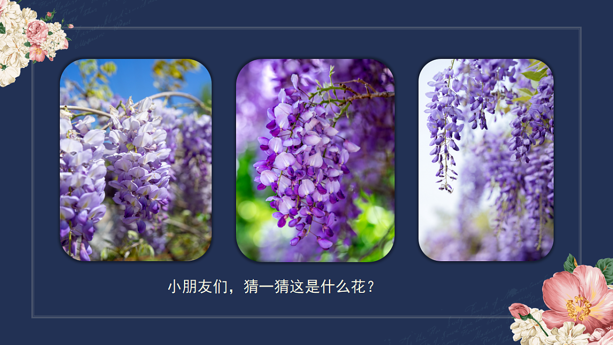 17597971第6页